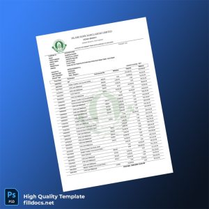 Bangladesh Islami Bank Bank Statement Template in Word and PDF formats