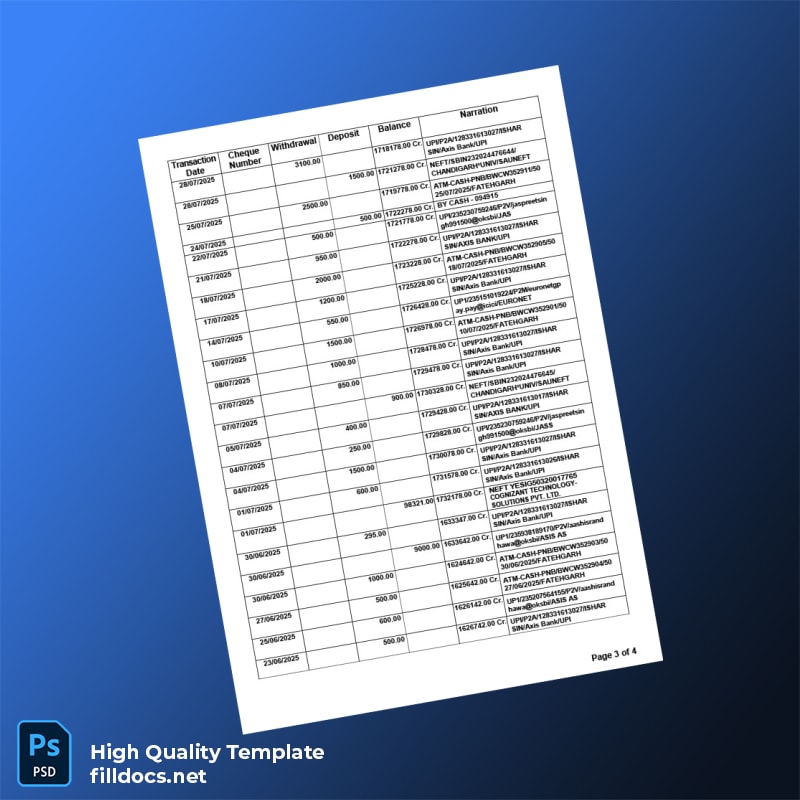 India Punjab National Bank Statement Template in Word and PDF formats page 3