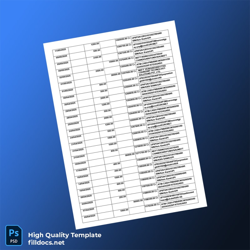 India Punjab National Bank Statement Template in Word and PDF formats page 5