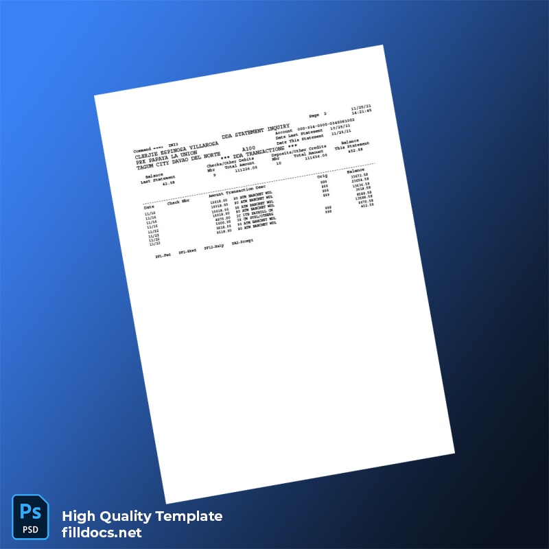 Philippines Document Not Identified Template in Word and PDF formats