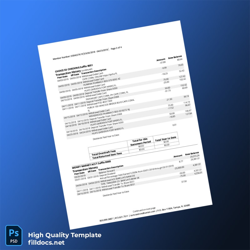 USA Suncoast Bank Statement Template in Word and PDF formats page 3