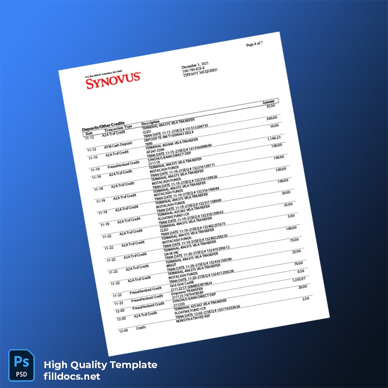 USA Synovus Bank Statement Template in Word and PDF formats page 6