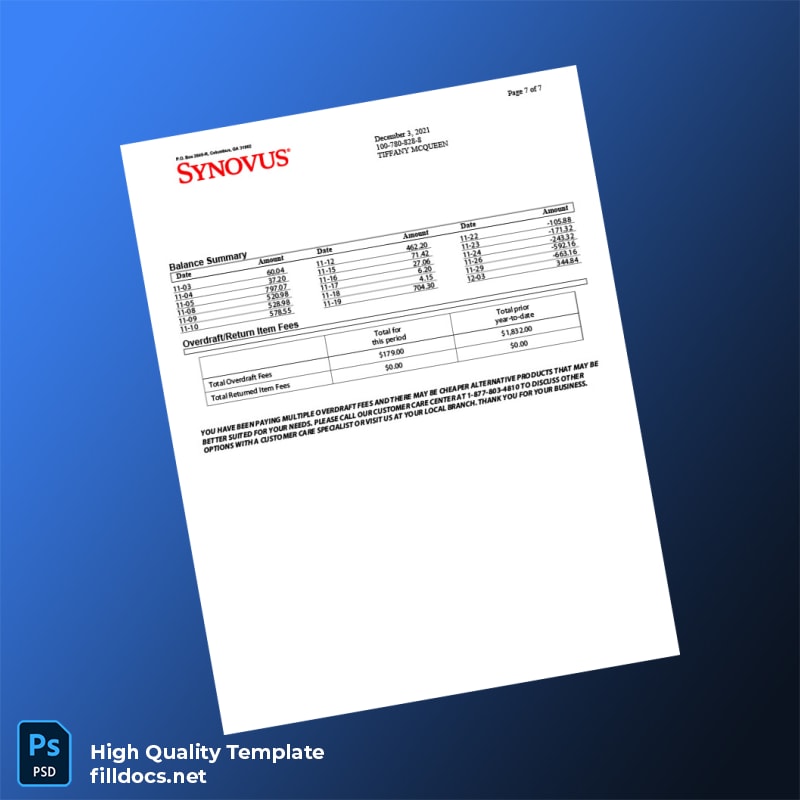 USA Synovus Bank Statement Template in Word and PDF formats page 7