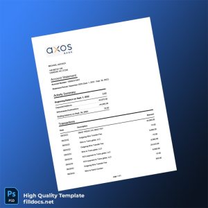 USA The Bancorp Bank Account Statement Template in Word and PDF formats