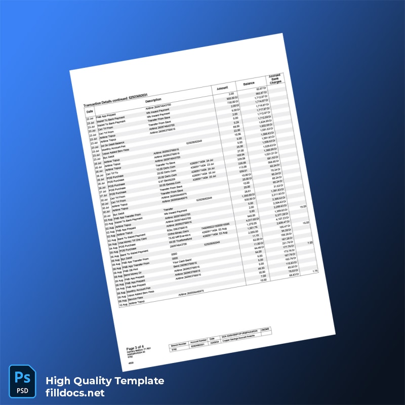 Zambia Bank Statement Template in Word and PDF formats page 3